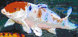 Koi Under Water<br/>Ready to Hang Mosaic Art