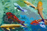Rainbow Koi<br/>Ready to Hang Mosaic Art