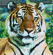 Siberian Tiger<br/>Ready to Tile Mosaic Art