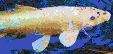 Spot Nose Koi<br/>Ready to Tile Mosaic Art