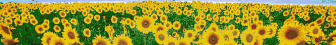 Sunflower Sky - Mosaic Tile Art