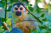 Central American Squirrel Monkey - Mosaic Tile Art