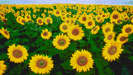 Sunflower Fields - Mosaic Tile Art