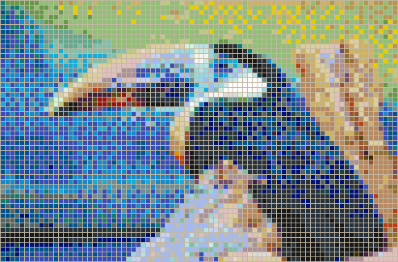 Toucan - Mosaic Tile Picture Art